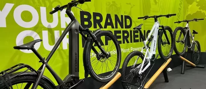 Jak system ERP w chmurze wpływa na stabilność biznesu? Case study dla branży sportowo-turystycznej - firma Ecobike